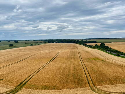 24-07-01 14-18-25 0079